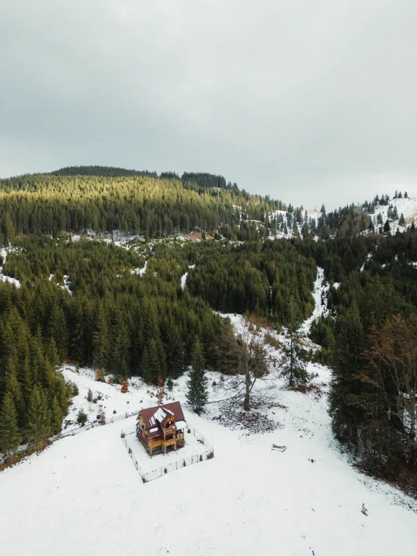 Bucovina BMW 2026 - DJI_0209.JPG