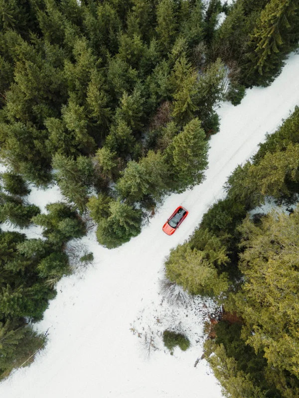 Bucovina BMW 2026 - DJI_0221.JPG